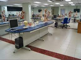 MAHSA University